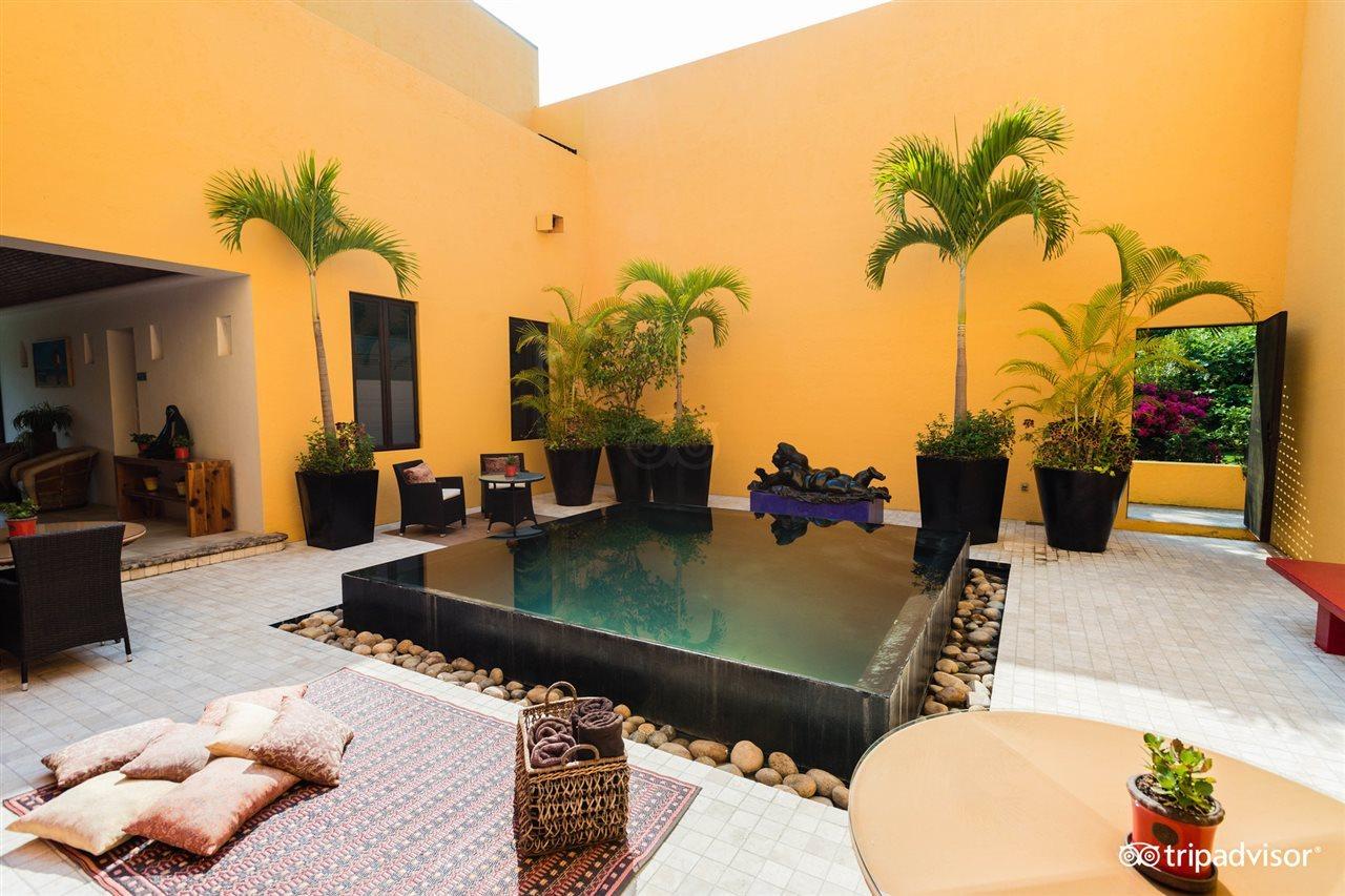 Villa Azalea Inn & Organic Farm JALISCO Exterior foto