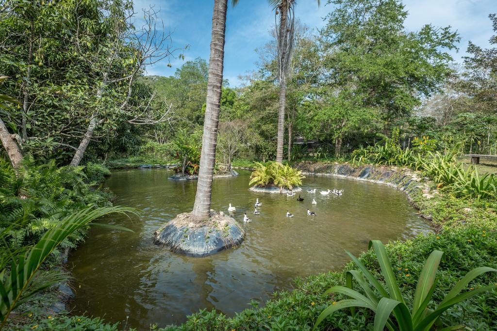 Villa Azalea Inn & Organic Farm JALISCO Exterior foto